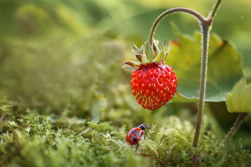 Photograph by Руслана Валеева