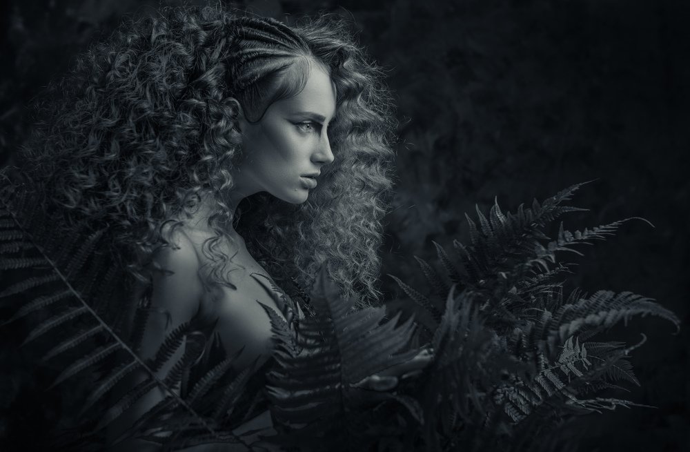 Фотография автора Aurimas Valevičius