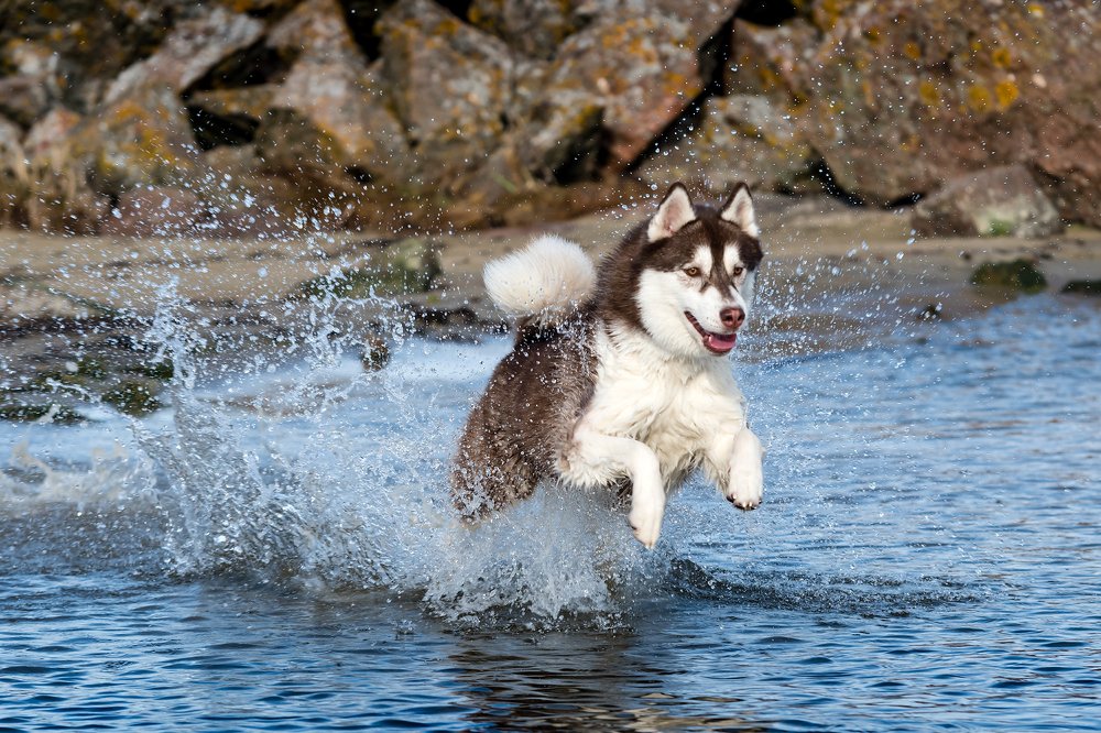 Photograph by Александр Абросимов