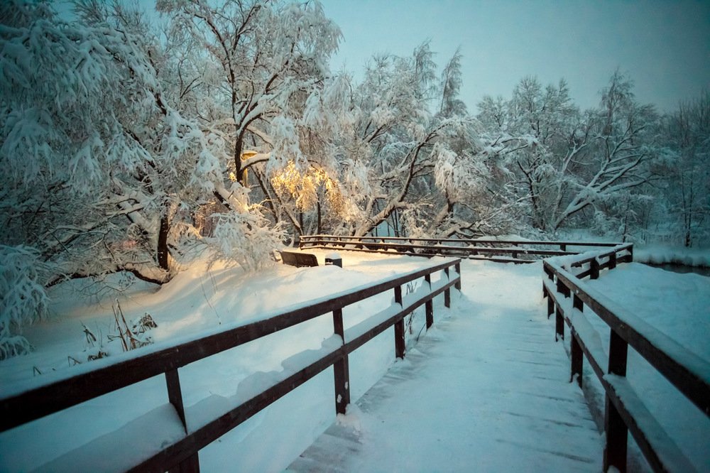 Photograph by Татьяна Макотра