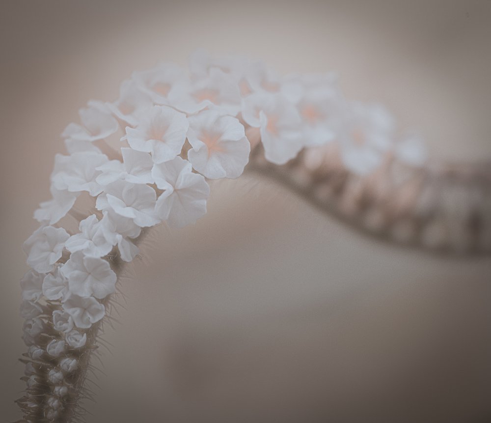 Photograph by Marcin Morawski