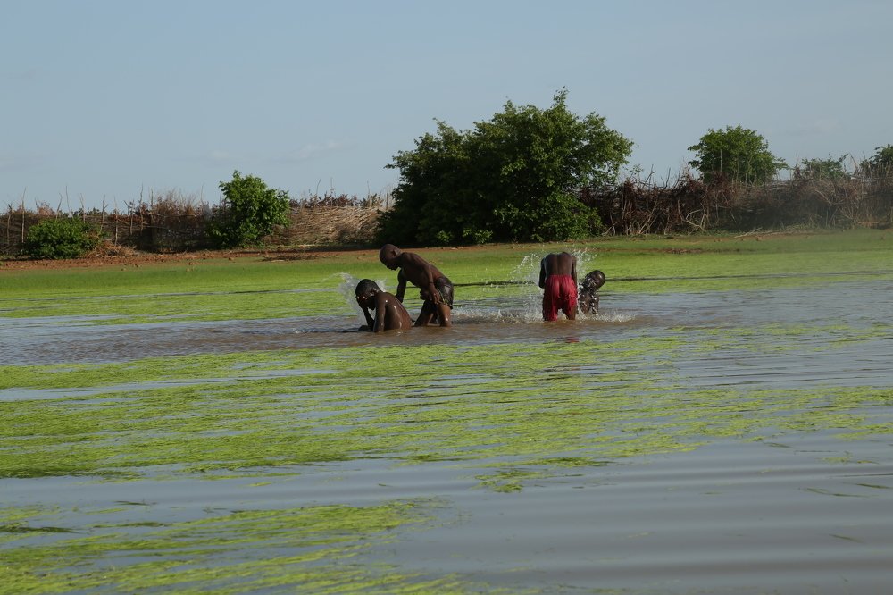 Photograph by Hama Mounkaila
