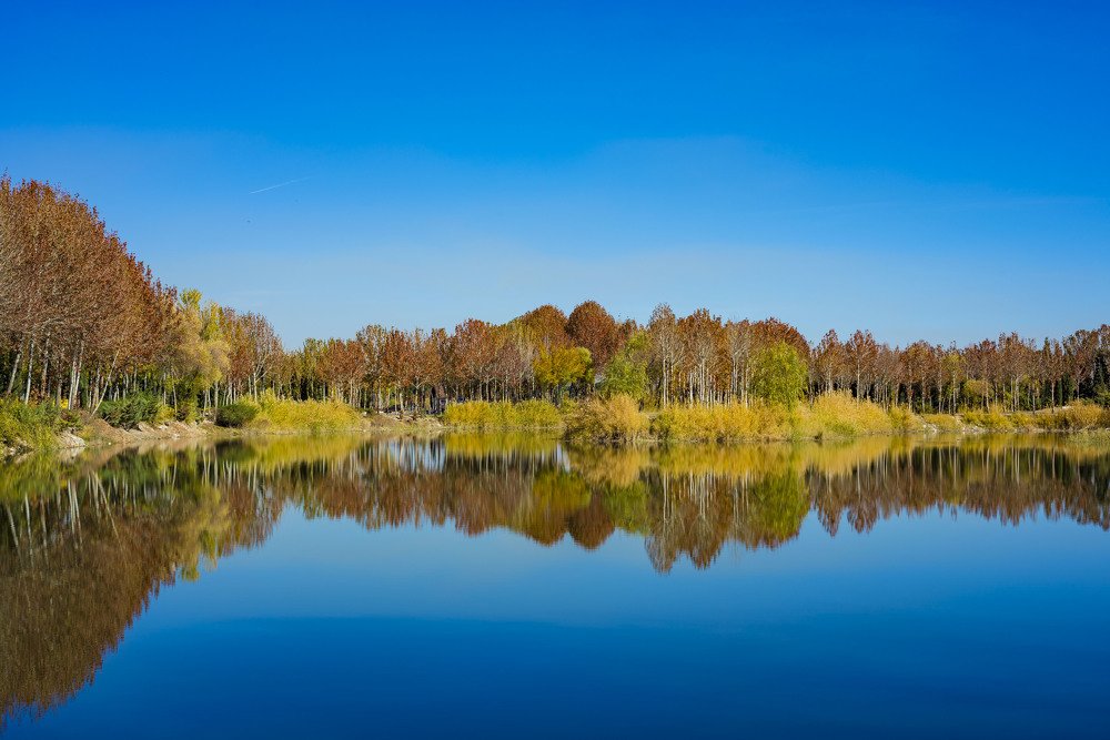 Photograph by  Reza Mohammadi