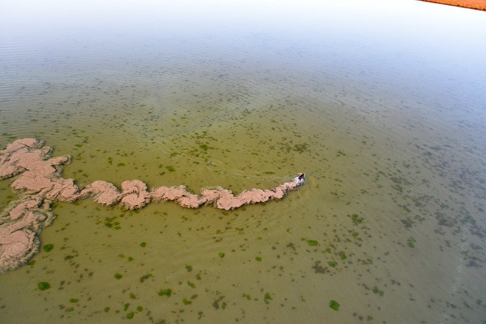 Photograph by Ramayama