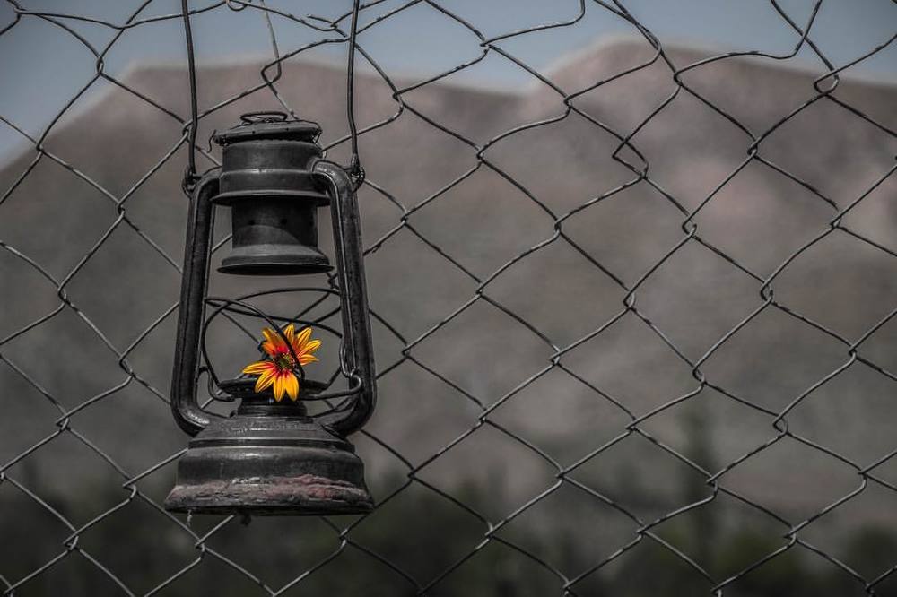 Photograph by Farifte