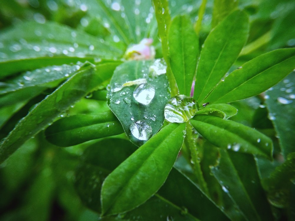 Photograph by Олег Титкин