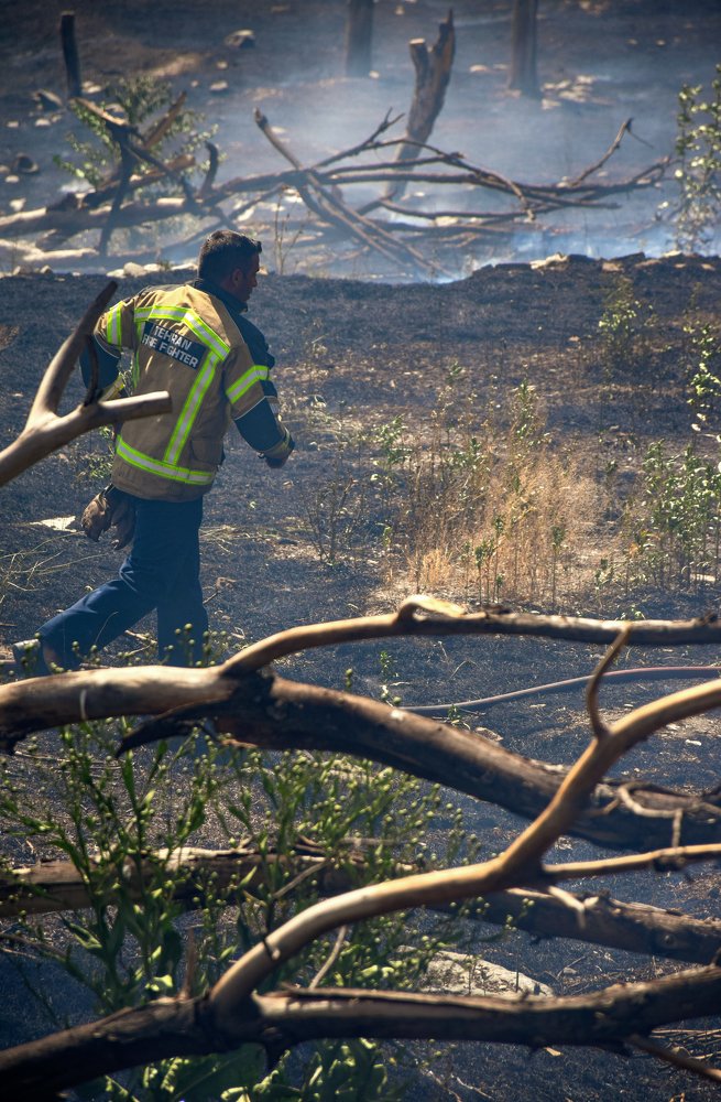 Photograph by Farshad Yazdankhah