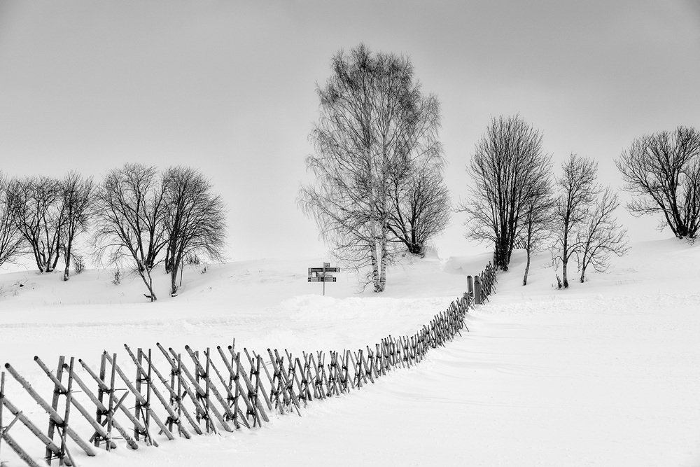 Photograph by Андрей Баскевич