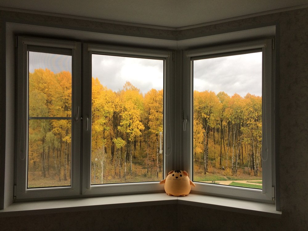 Осень в окне