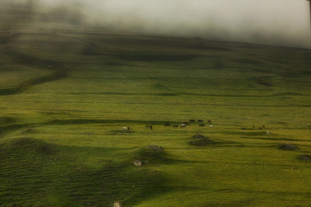 Photograph by Рамиль Газизов