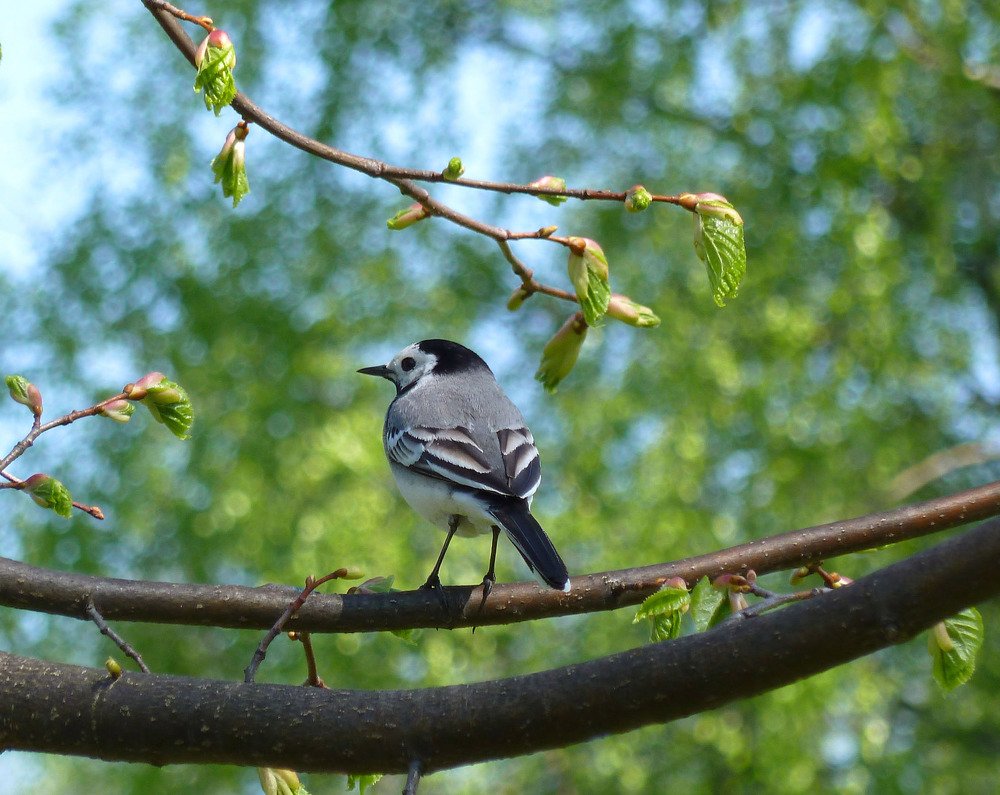 Photograph by Анастасия Белякова