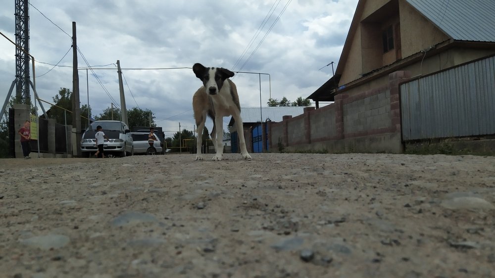 Photograph by Кирилл Удалов