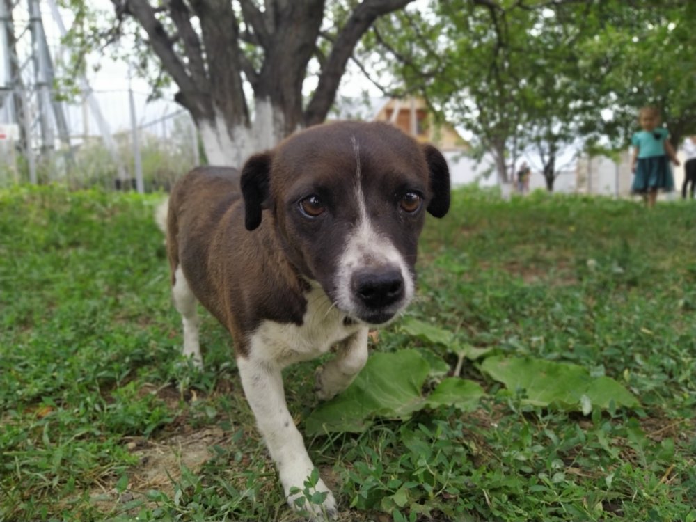 Photograph by Кирилл Удалов