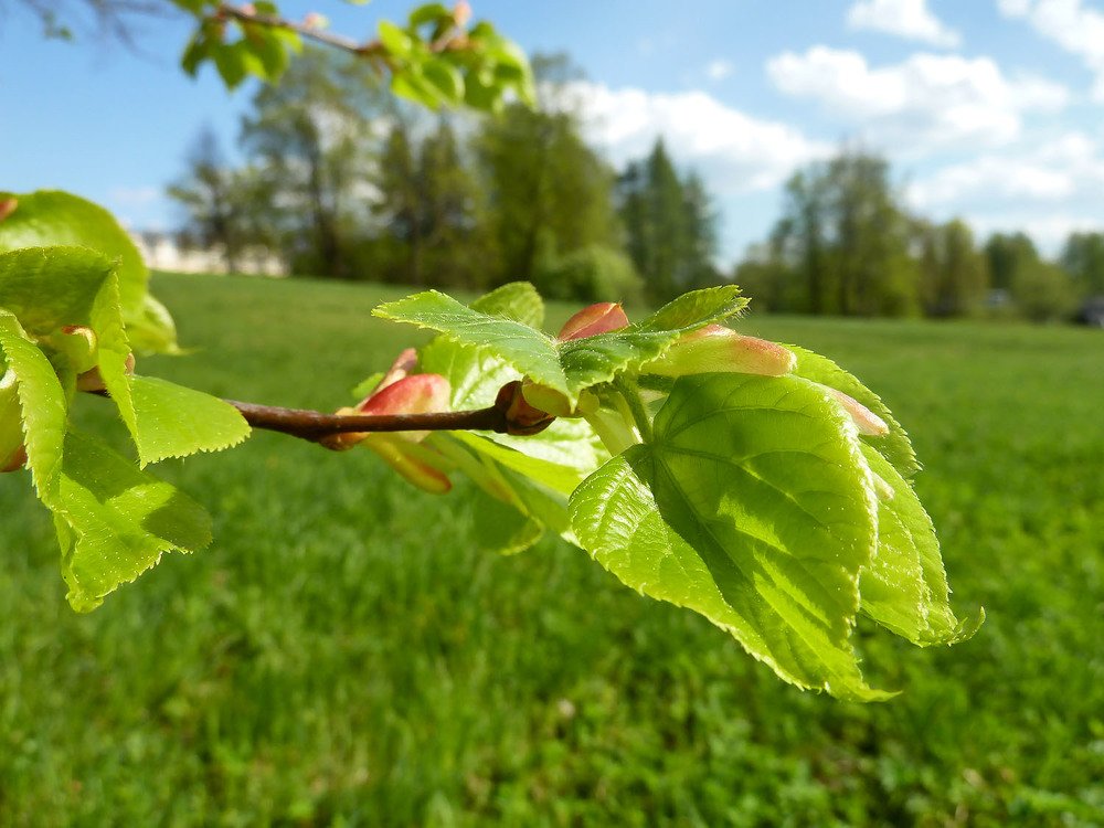 Photograph by Анастасия Белякова