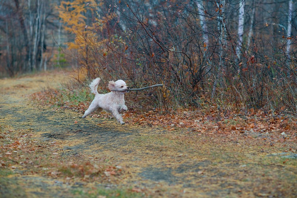 Photograph by Natalia Badyul