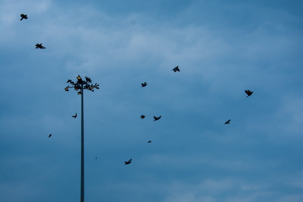 Photograph by Prince Kumar