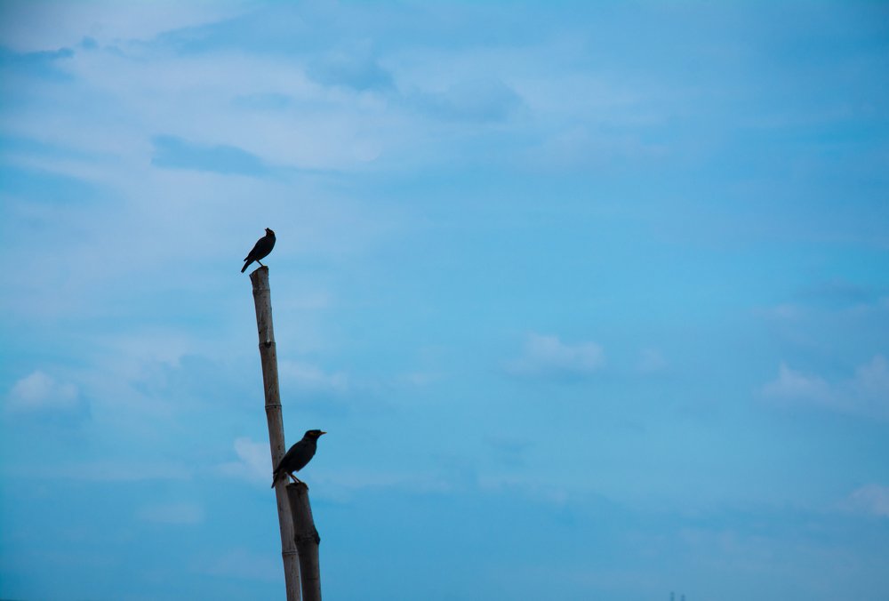 Photograph by Prince Kumar