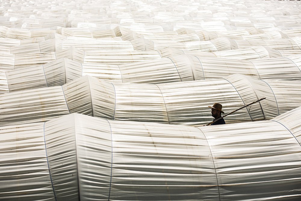 Photograph by Tahsin Gun