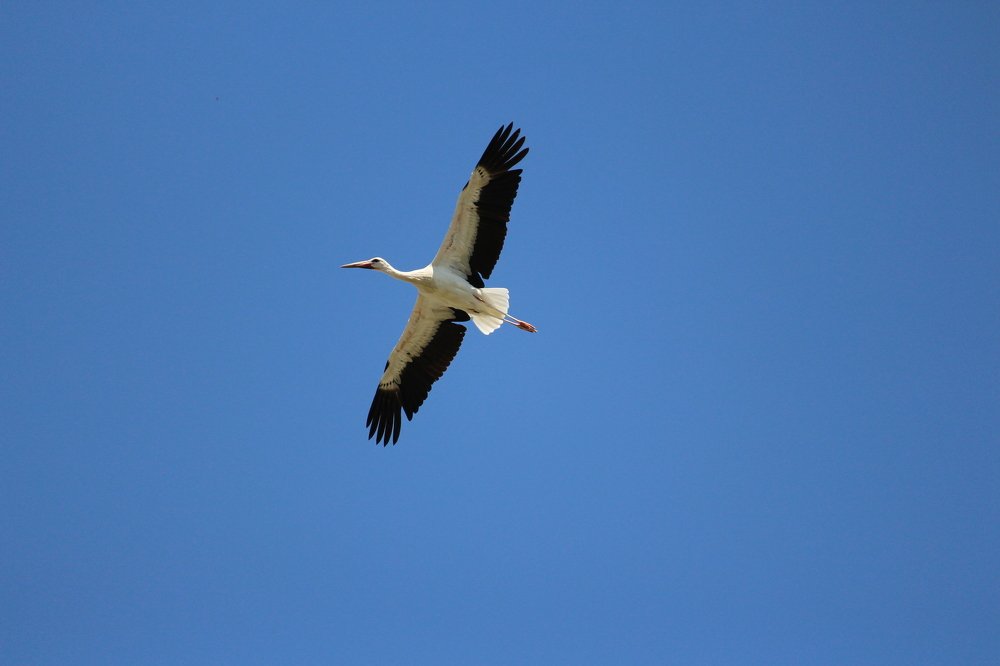 Фотография автора Olga Schneider