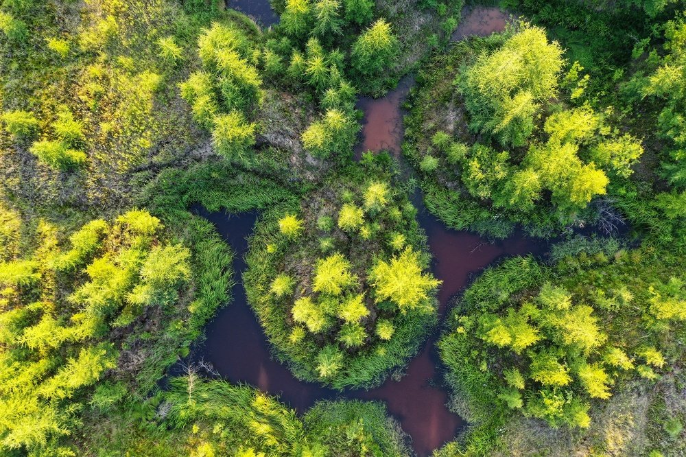 Фотография автора Юлия Егорова