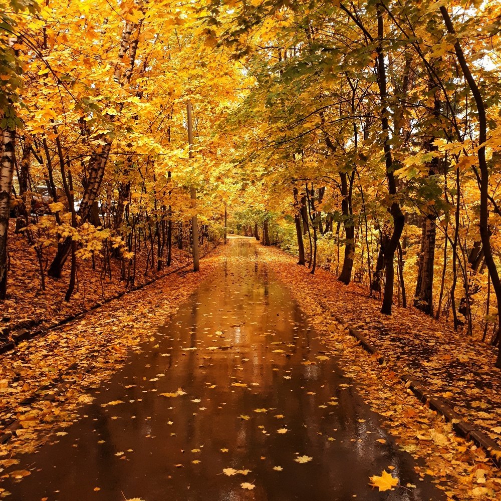 Photograph by Julia Nazarova