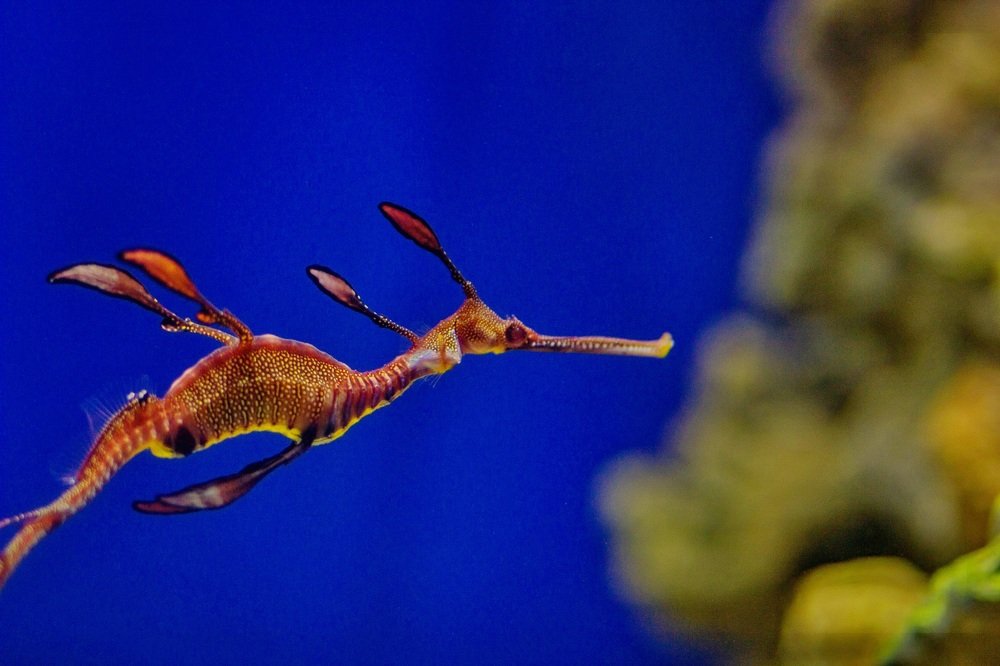 Photograph by Мария Берниц