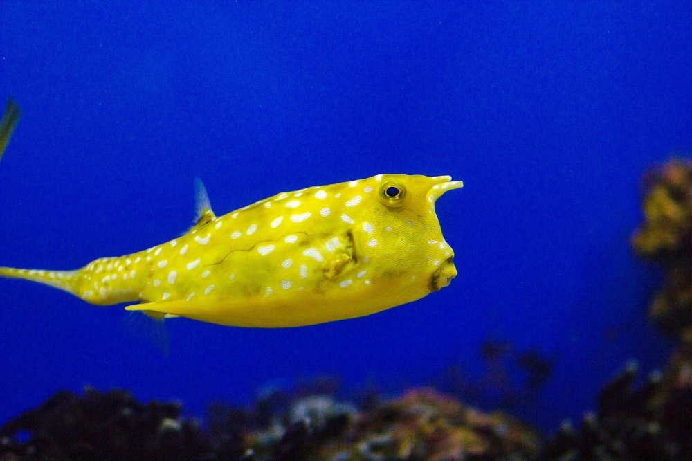 Photograph by Мария Берниц