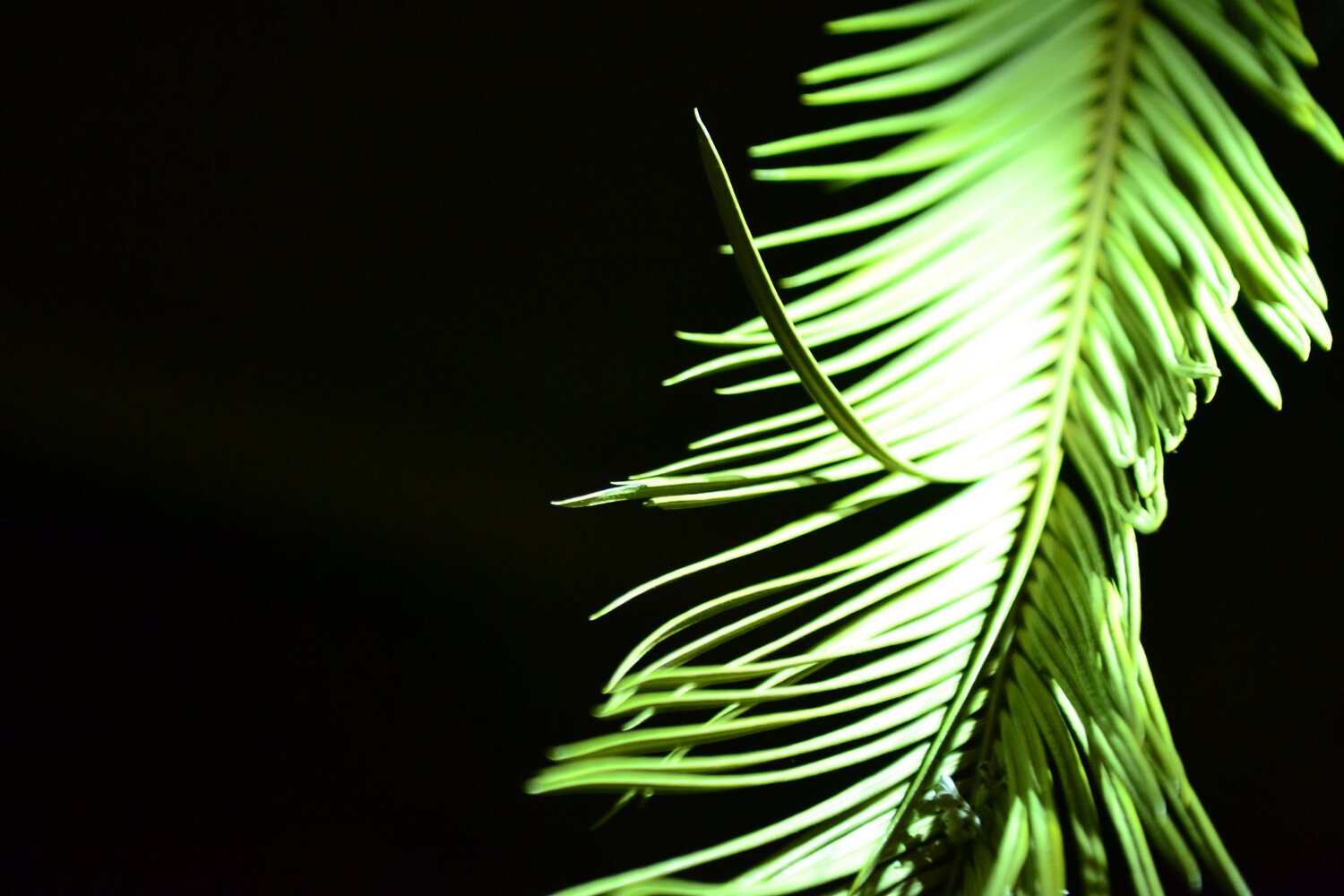 Photo #3687877