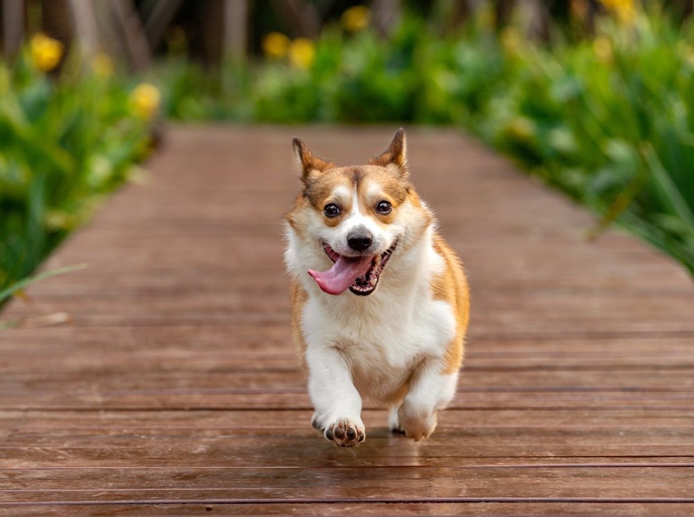 Photograph by Liza Kirina