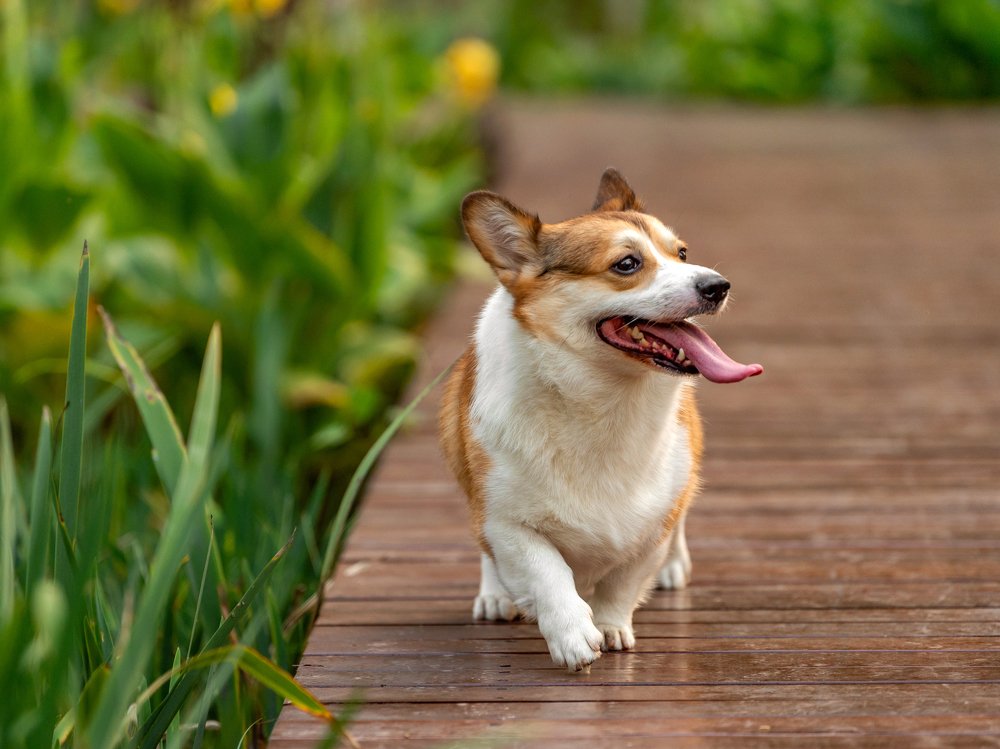 Photograph by Liza Kirina