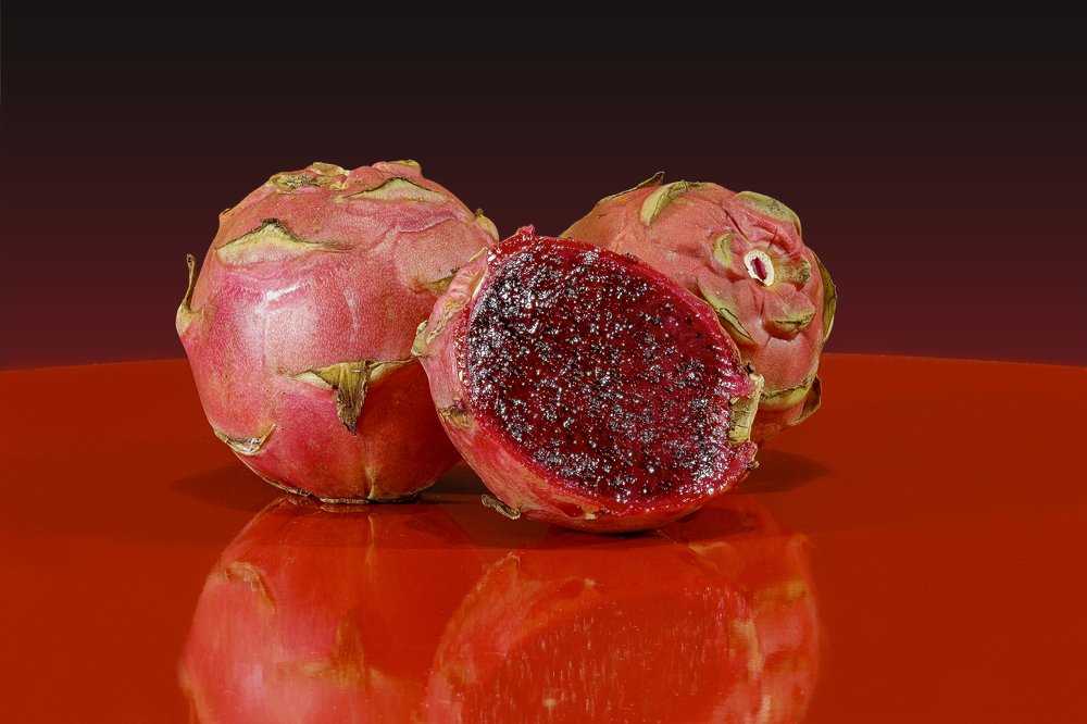 Photograph by Rui Santos