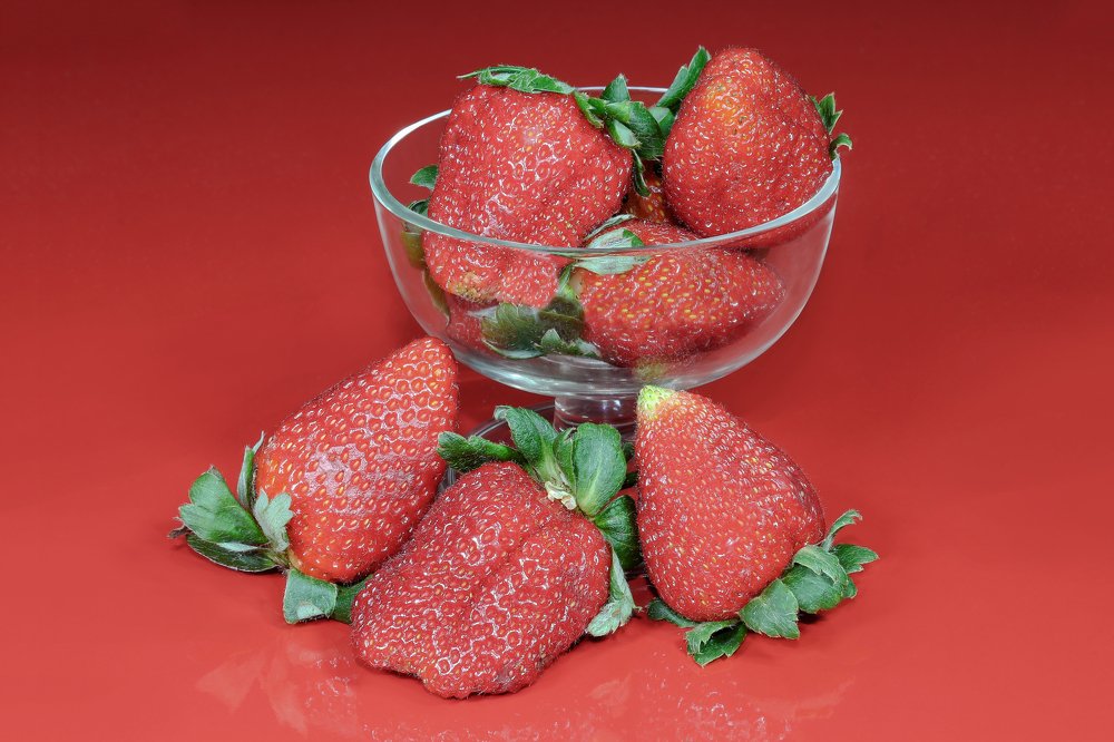 Photograph by Rui Santos