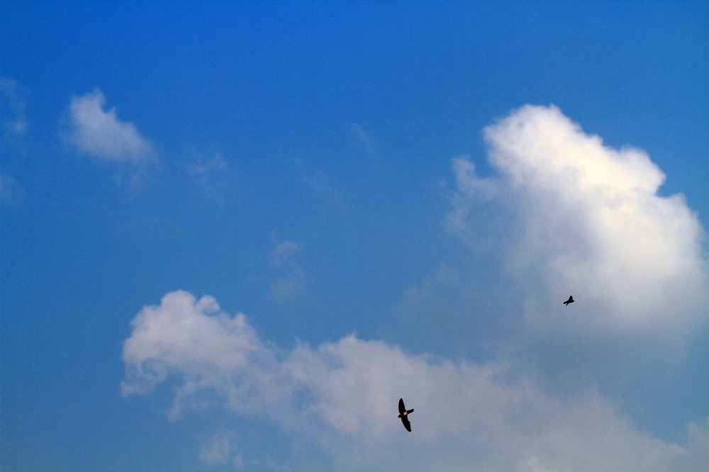 Фотография автора Tutang Hermawan (+62)812 2072-43 Asep