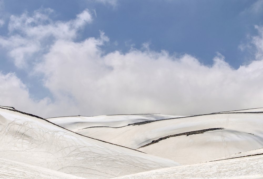 Фотография автора Sherine El Mously