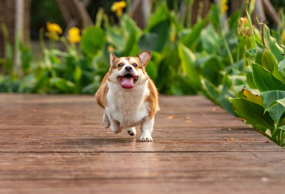 Photograph by Liza Kirina