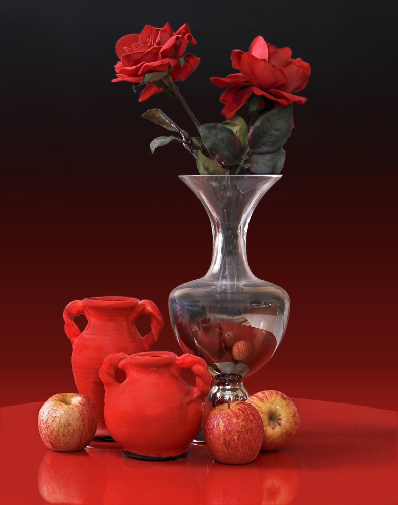 Photograph by Rui Santos