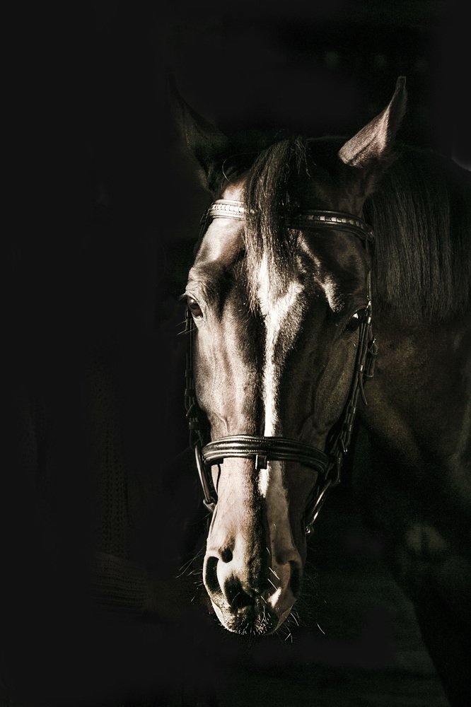 Photograph by Вероника Баньковская