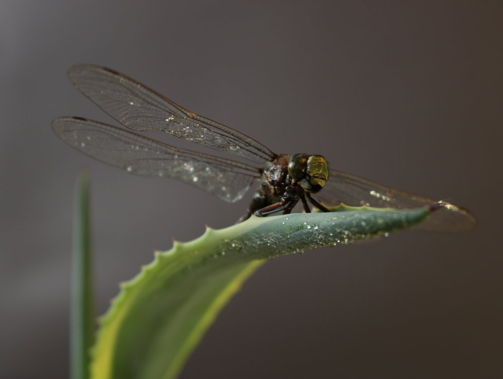 Photograph by Татьяна