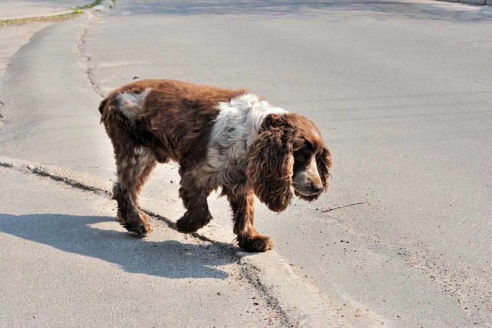 Photograph by Виталий Пилипенко