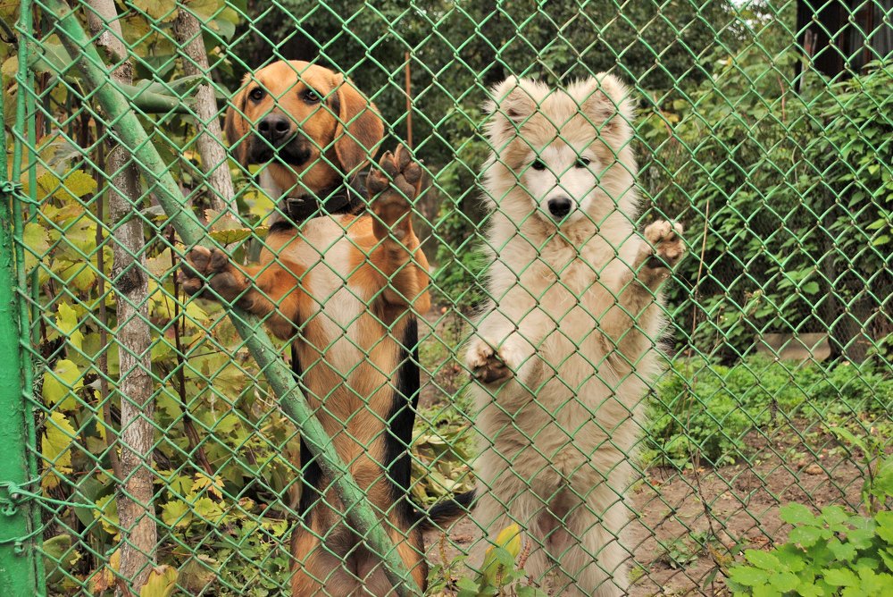 Photograph by Виталий Пилипенко