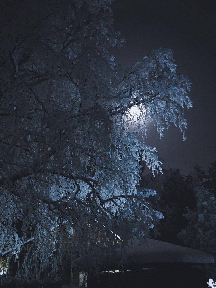 Photograph by Дмитрий Минаев