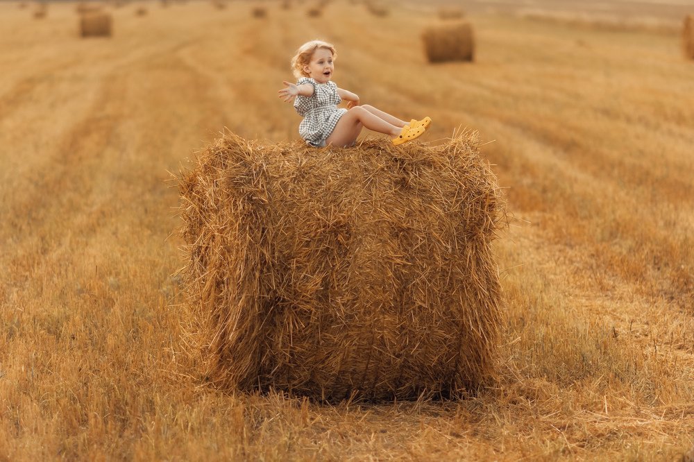 Здравствуй мир