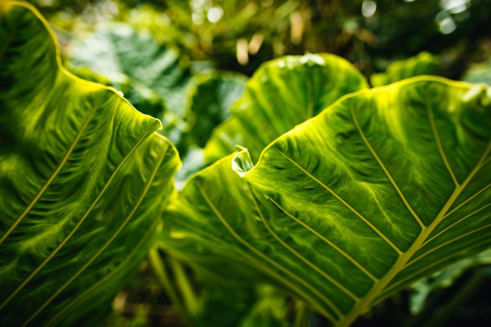 Photograph by Евгения ГЕССЕН