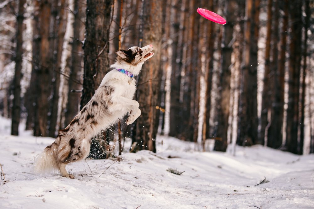 Photograph by Евгения ГЕССЕН