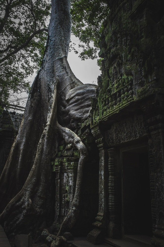 Photograph by Илья