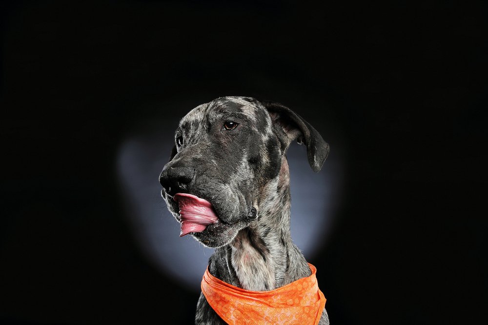 Photograph by Alvaro Torrejon