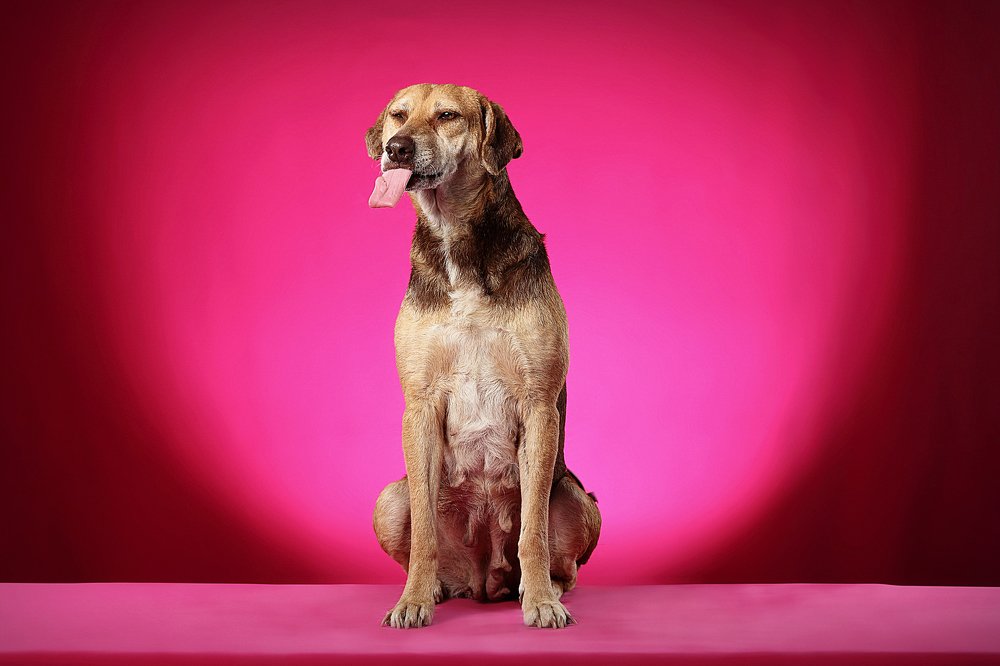 Photograph by Alvaro Torrejon