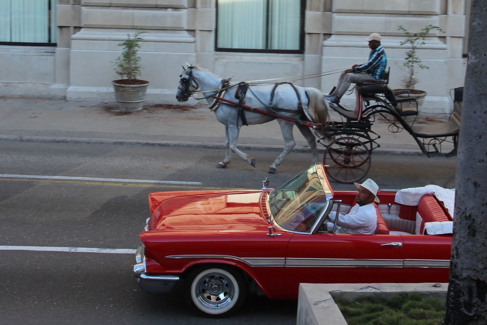 Photograph by Валентина