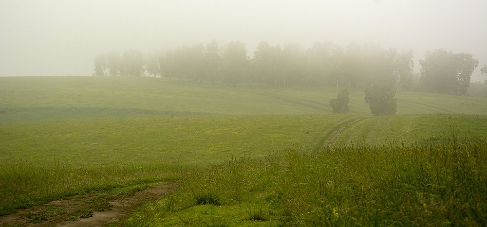 зелёное утро