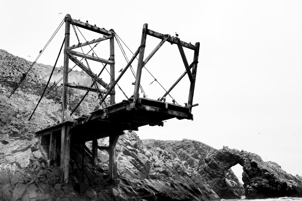 Photograph by Jean Pierre Olivera